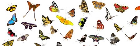 Afstemmen op het Blauwe Storm toon 6 zonnejaar